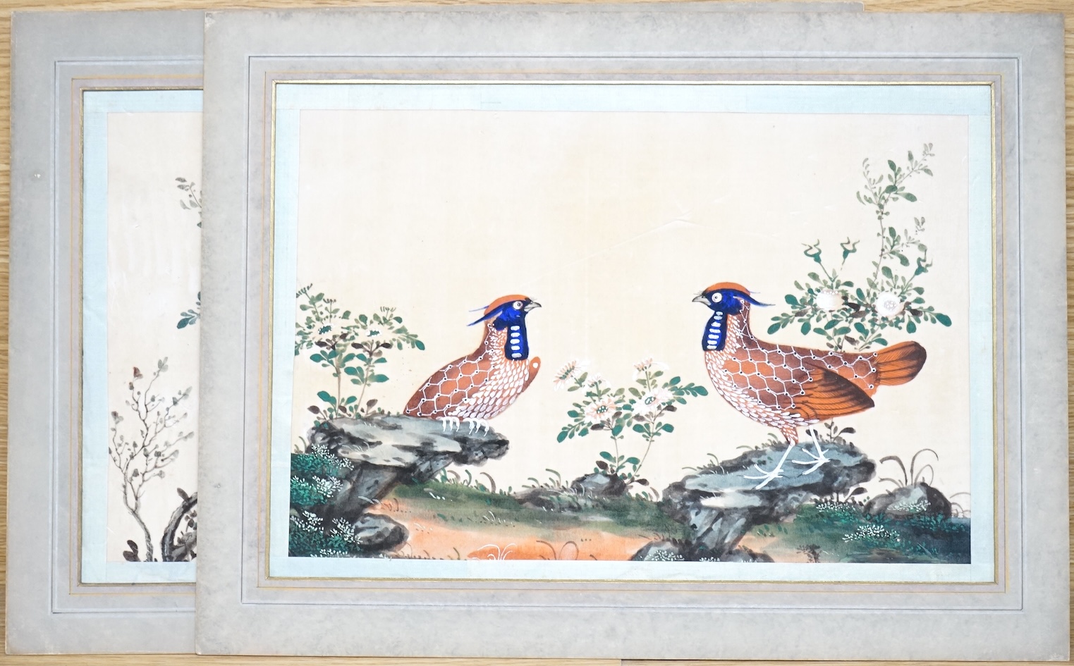 Chinese School, Birds of paradise, pair of pith paper paintings, mounted, 19 x 28cm, unframed